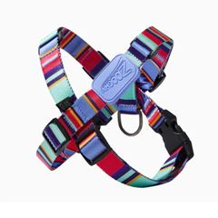 PEITORAL X RAIOS E LISTRAS - BORRACHA VIOLETA G