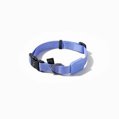 COLEIRA DOG VIOLETA - BORRACHA VIOLETA G