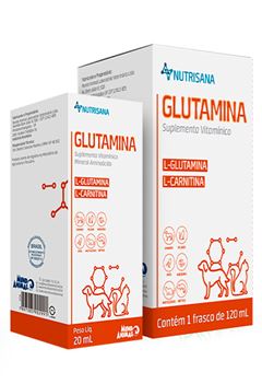 DISPLAY GLUTAMINA 20ML - 15 UNIDADES