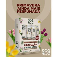 KIT DOG & CO ESTACOES PRIMAVERA