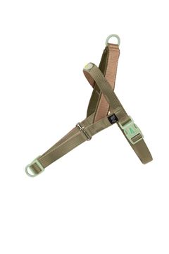 PEIT. GEN.P VERDE MENTA/CAR- B.CAR. M