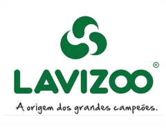 6º LOGO FORNECEDOR - LAVIZOO