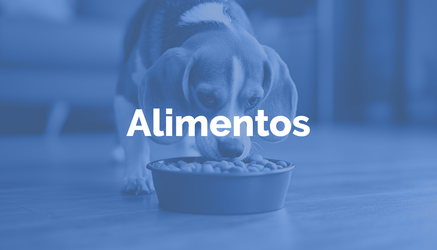 DEPARTAMENTO - ALIMENTOS